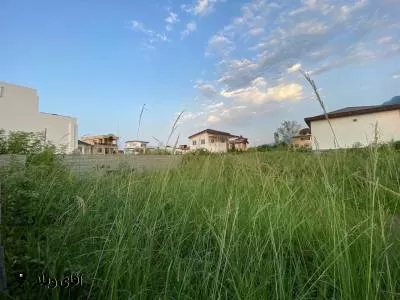 خرید زمین 300 متری جنگلی سند دار در نوشهر