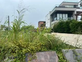 فروش زمین 530 متری جنگلی سند دار در نوشهر  