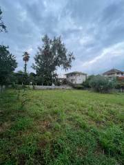 خرید زمین 750 متری در نوشهر