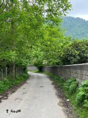 خرید زمین 1500 متری در نوشهر