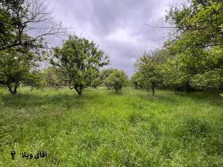 خرید زمین 1500 متری در نوشهر