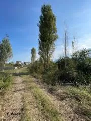 خرید ویلا جنگلی 320 متری در نوشهر