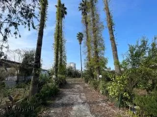 خرید زمین 610 متری در نوشهر
