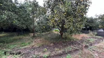 خرید زمین 215 متری در نوشهر