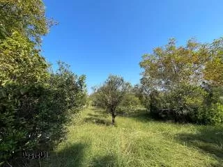 خرید زمین 420 متری در نوشهر