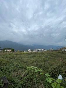 خرید 800 متر زمین جنگلی در نوشهر