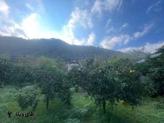 خرید زمین 282 متری در نوشهر