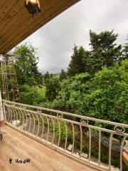 خرید ویلا 230 متری 3 خواب در نوشهر