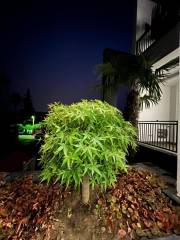 فروش ویلا 350 متری در نوشهر