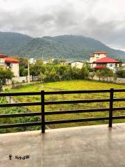 خرید ویلا استخردار 300 متری در نوشهر