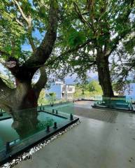 خرید ویلا استخردار 700 متری در نوشهر