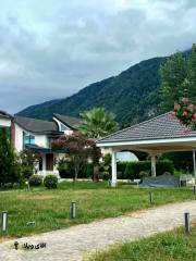 خرید ویلا 240 متری 3 خواب در نوشهر