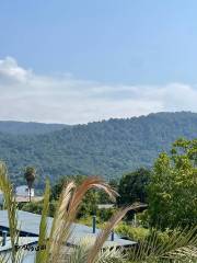 خرید ویلا 570 متری 5 خواب در نوشهر