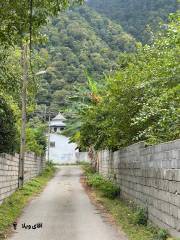 خرید زمین 680 متری در نوشهر