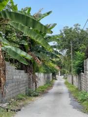 خرید زمین 680 متری در نوشهر