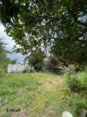 خرید زمین 680 متری در نوشهر