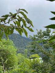 خرید زمین 680 متری در نوشهر