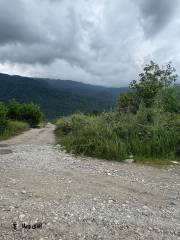 خرید زمین 500 متری در نوشهر