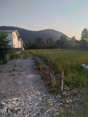 خرید زمین 400 متری در نوشهر