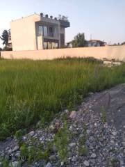 خرید زمین 400 متری در نوشهر