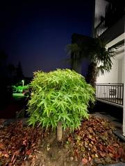 خرید ویلا استخردار 320 متری در نوشهر