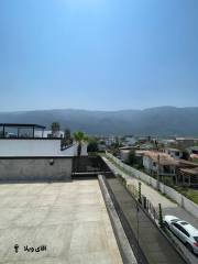 photo_2025-12-30_11-08-19