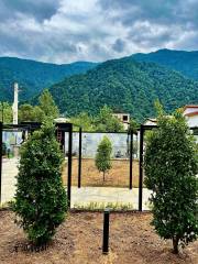 خرید ویلا شهرکی 800 متری در چلک نوشهر