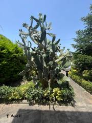 خرید ویلا شهرکی 300 متری در نوشهر