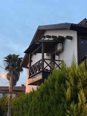 photo_2026-02-26_09-خرید ویلا شهرکی 220 متری در نوشهر-43