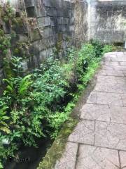 خرید ویلا 80 متری 2 خواب در نوشهر