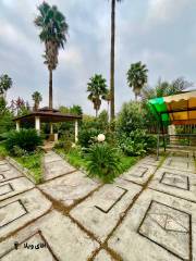 خرید ویلا 270 متری 3 خواب در نوشهر