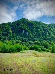 خرید زمین ۱۶۰۰۰ جنگلی در نوشهر