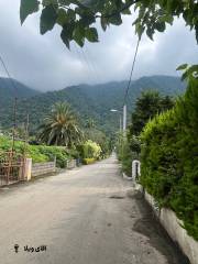 خرید زمین 1000 متری در نوشهر