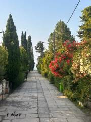 خرید ویلا 250 متری 3 خواب در نوشهر