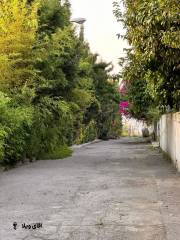 خرید ویلا شهرکی 500 متری در نوشهر