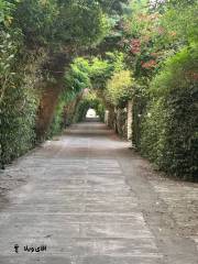 خرید ویلا ساحلی 135 متری در چلندر