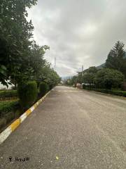 خرید زمین شهرکی 350 متری در ریاست جمهوری نوشهر