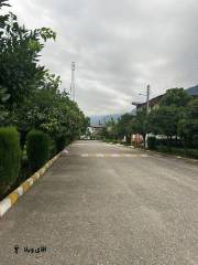 خرید زمین شهرکی 350 متری در ریاست جمهوری نوشهر