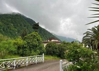 خرید زمین 700 متری در نوشهر