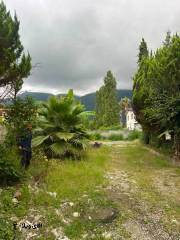 خرید زمین 500 متری در نوشهر
