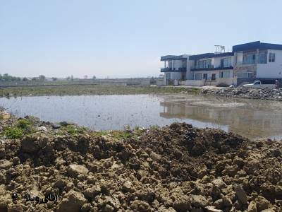 خرید 1000 متر زمین در نوشهر