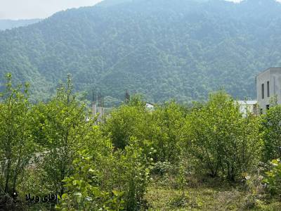 خرید 340 متر زمین شهرکی جنگلی در نوشهر
