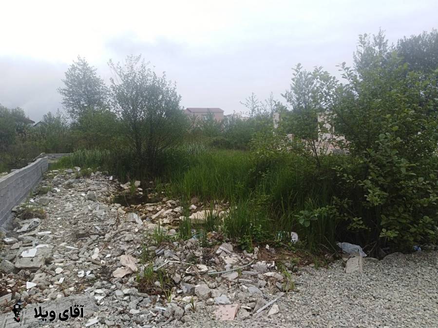 فروش 350 متر زمین مستقل جنگلی در نوشهر