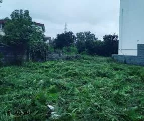 فروش 400 متر زمین شهرکی جنگلی در نوشهر