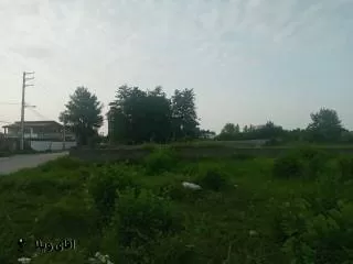 خرید 1860 متر زمین مستقل جنگلی درنوشهر