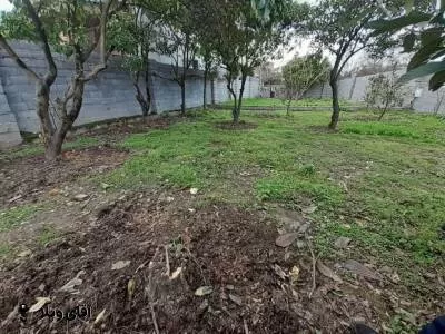 فروش 300 متر زمین در ونوش نوشهر  