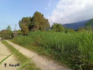 خرید 360 زمین شهرکی در نوشهر 