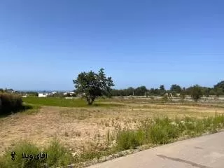 خرید زمین 11000 متری جنگلی مستقل در نوشهر