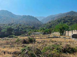 فروش350 متر زمین جنگل در منطقه برند نوشهر 