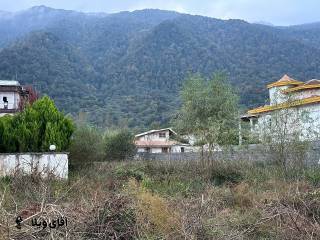 خرید 420 متر زمین مستقل جنگلی در نوشهر